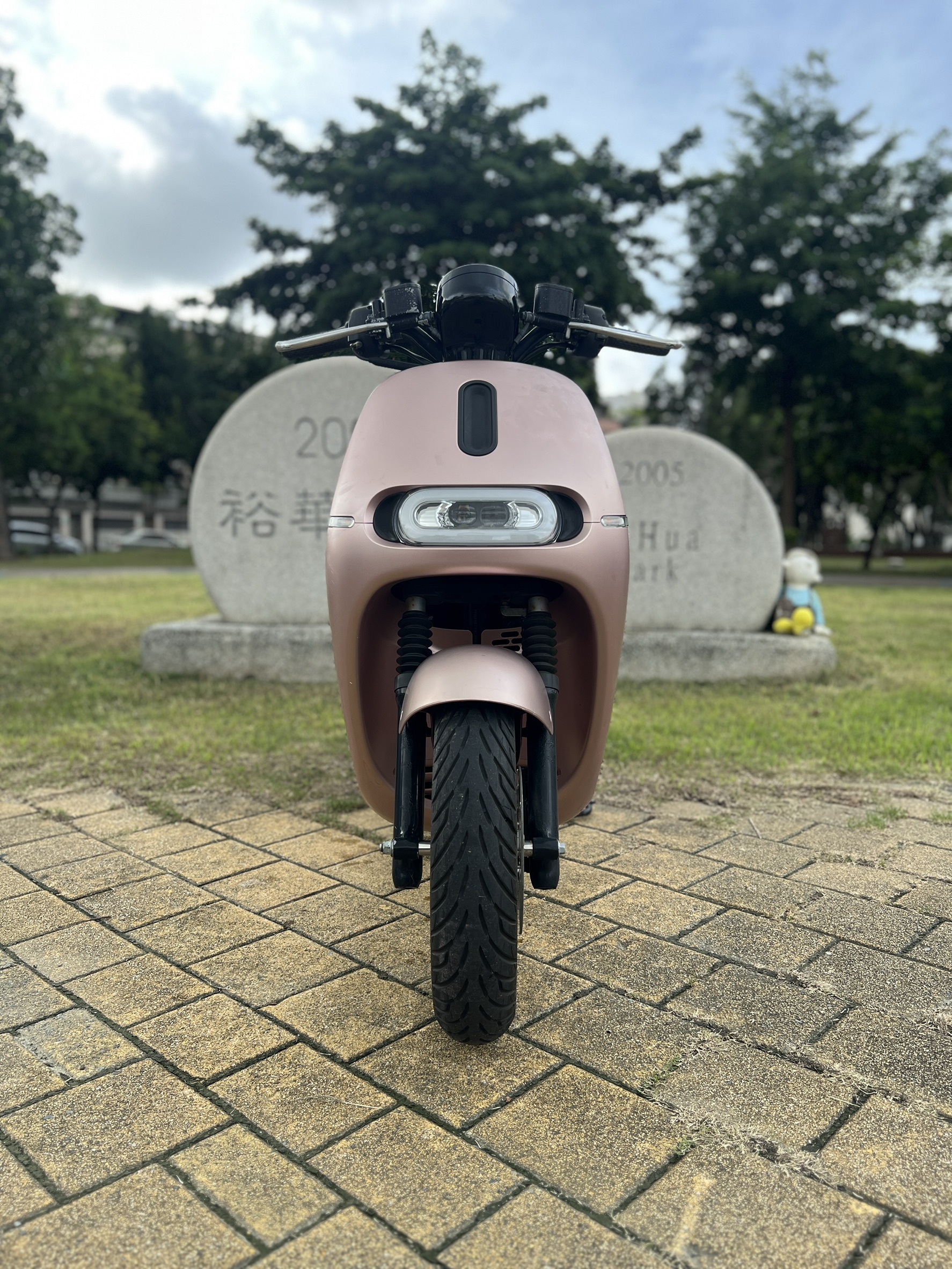 S__146636804_0