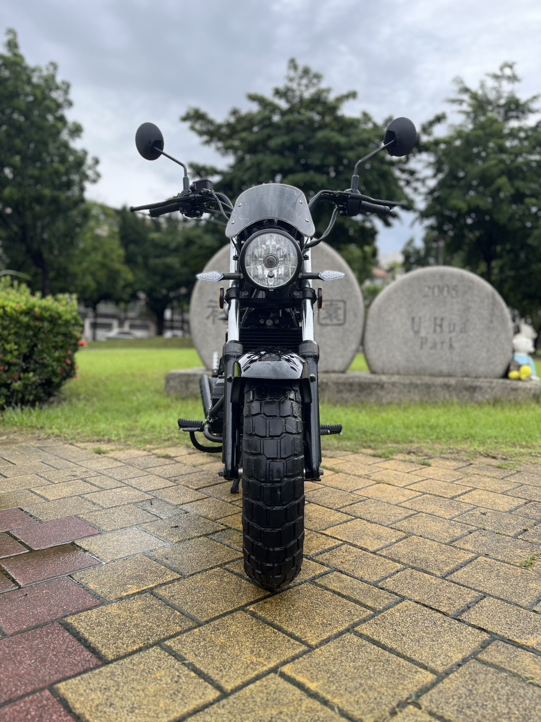 S__256516101_0