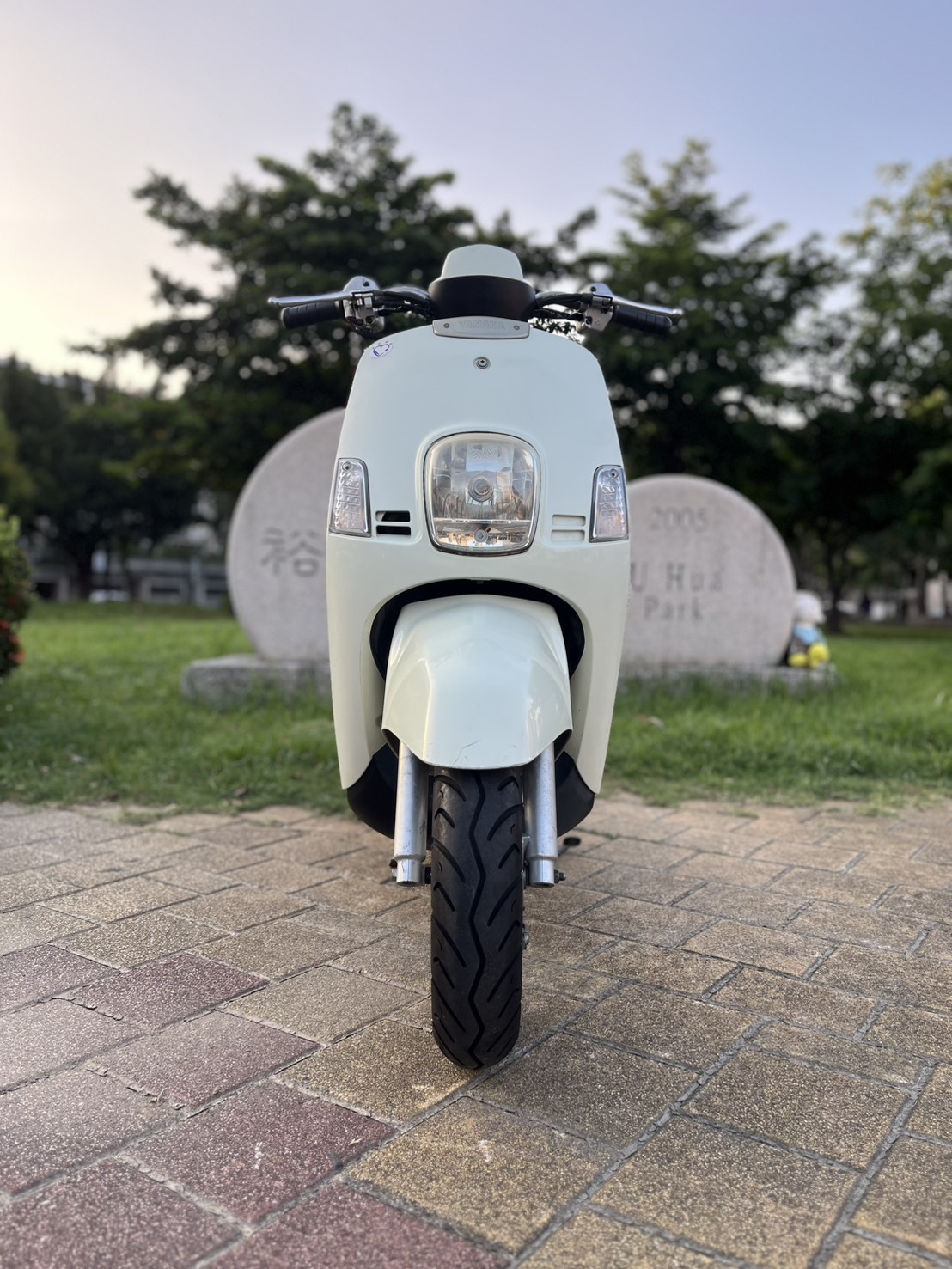 S__258973702_0