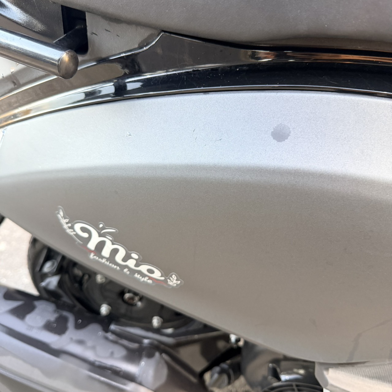 S__45072453_0