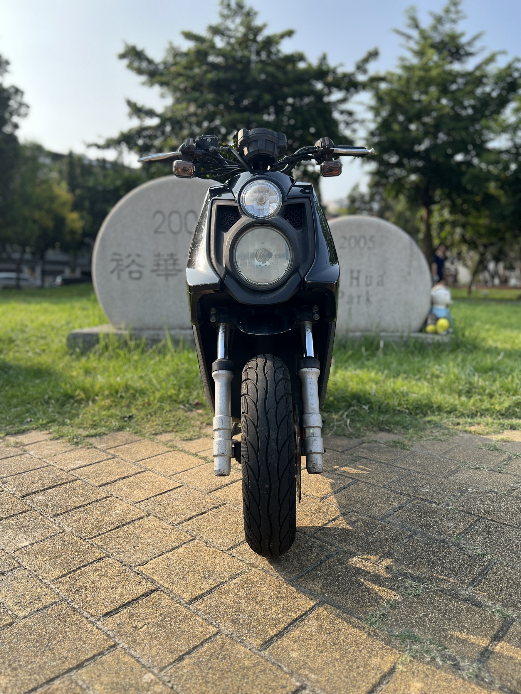 S__147628037_0