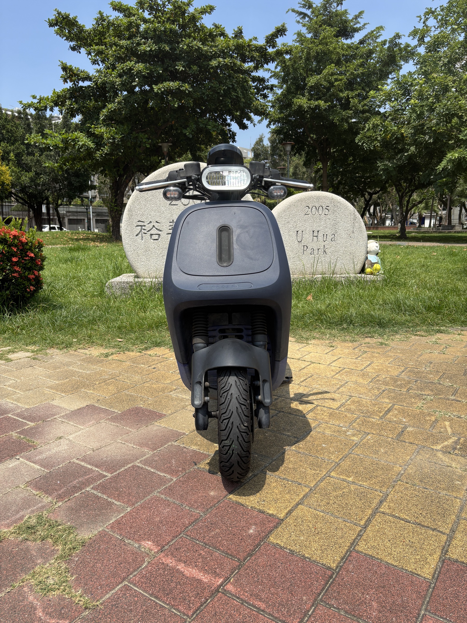IMG_4994