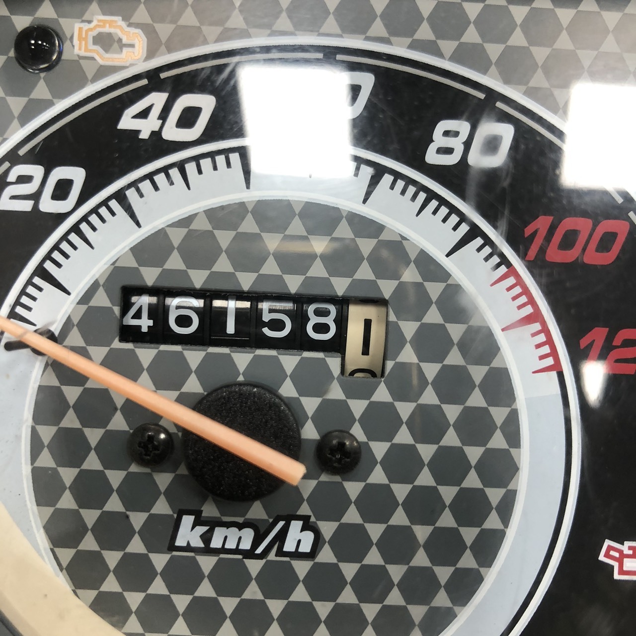 S__257826826_0