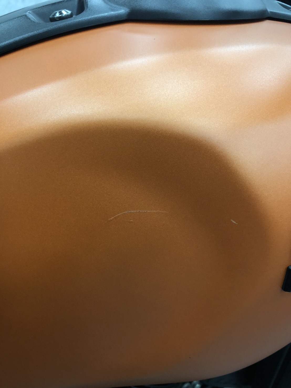 S__257835023_0