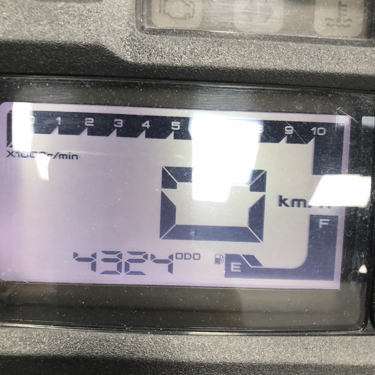 S__258400267_0