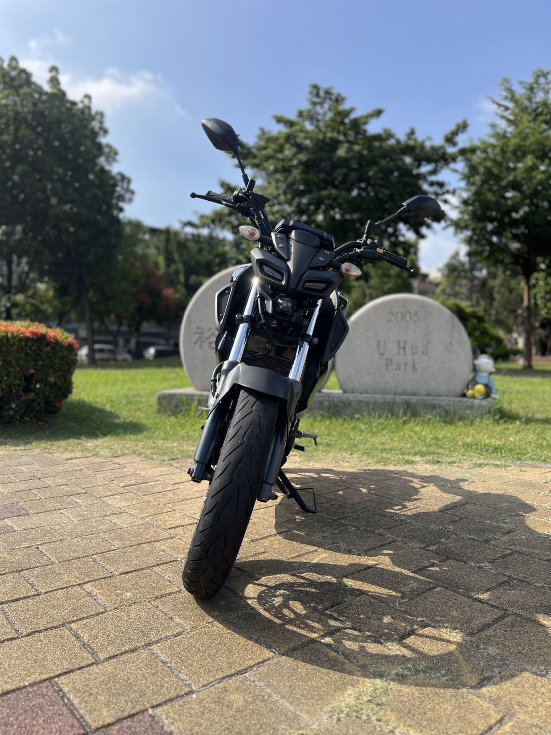 S__262414342_0