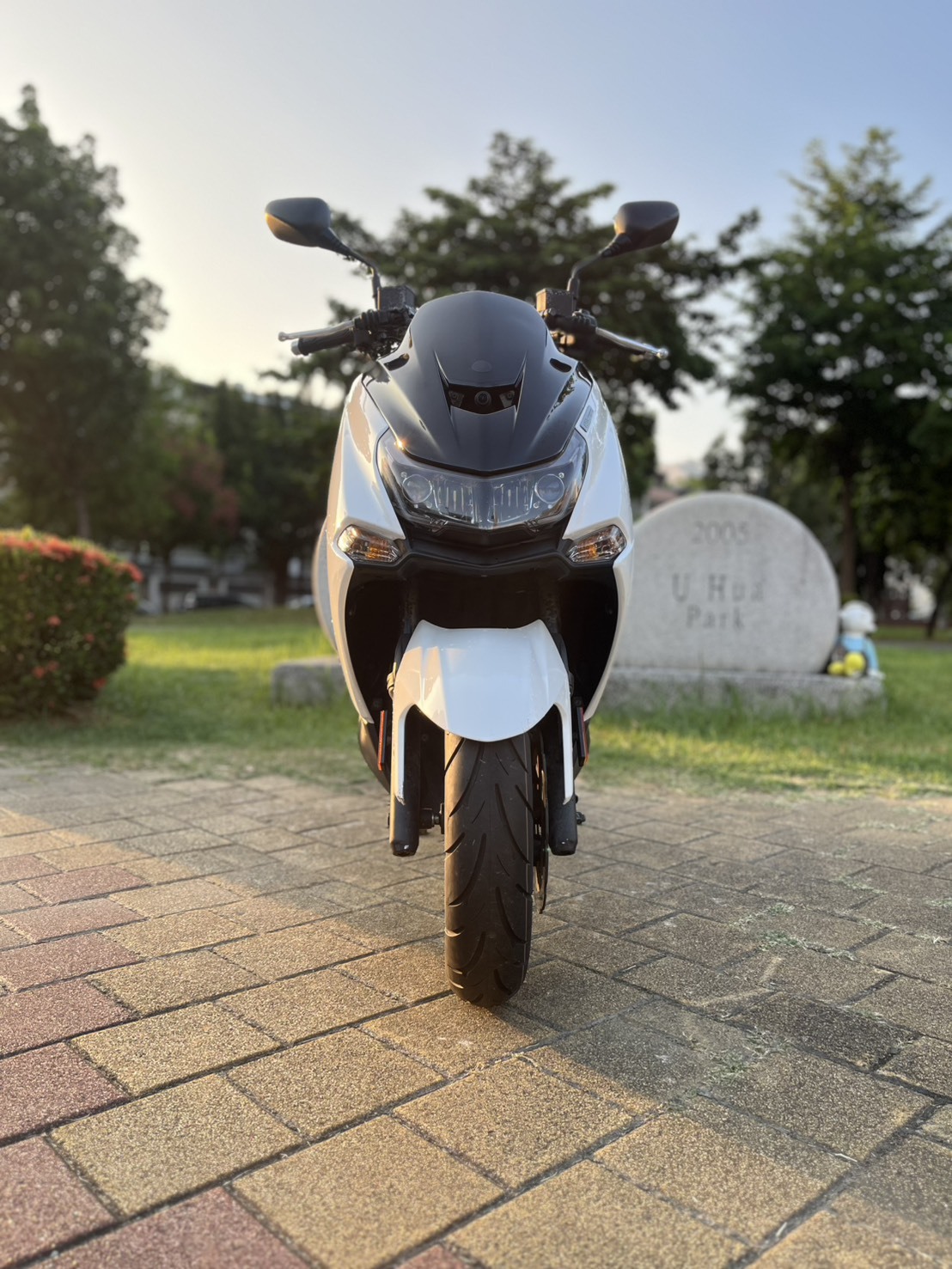 S__262463493_0