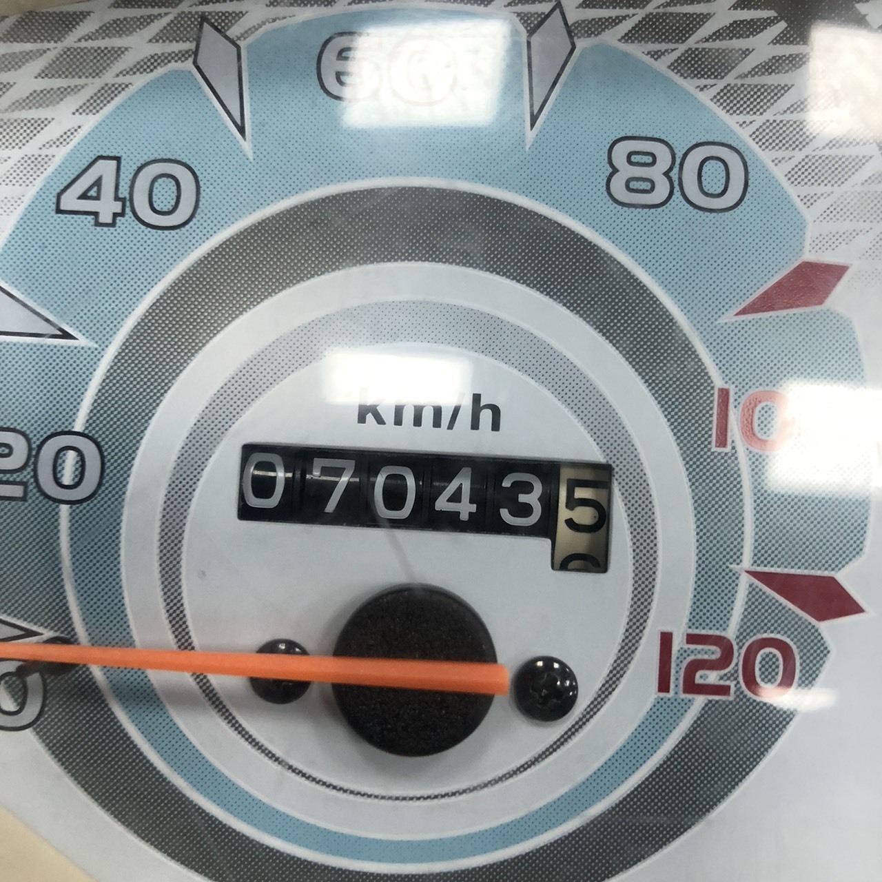 S__259579928_0
