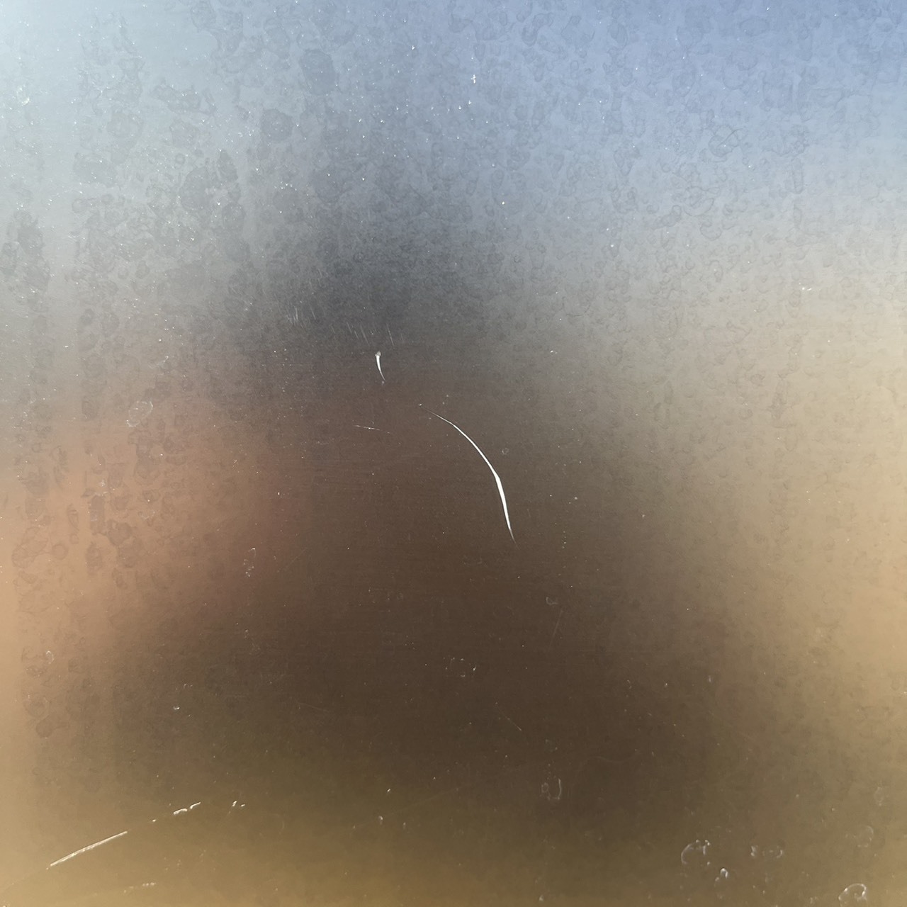 S__264929312_0