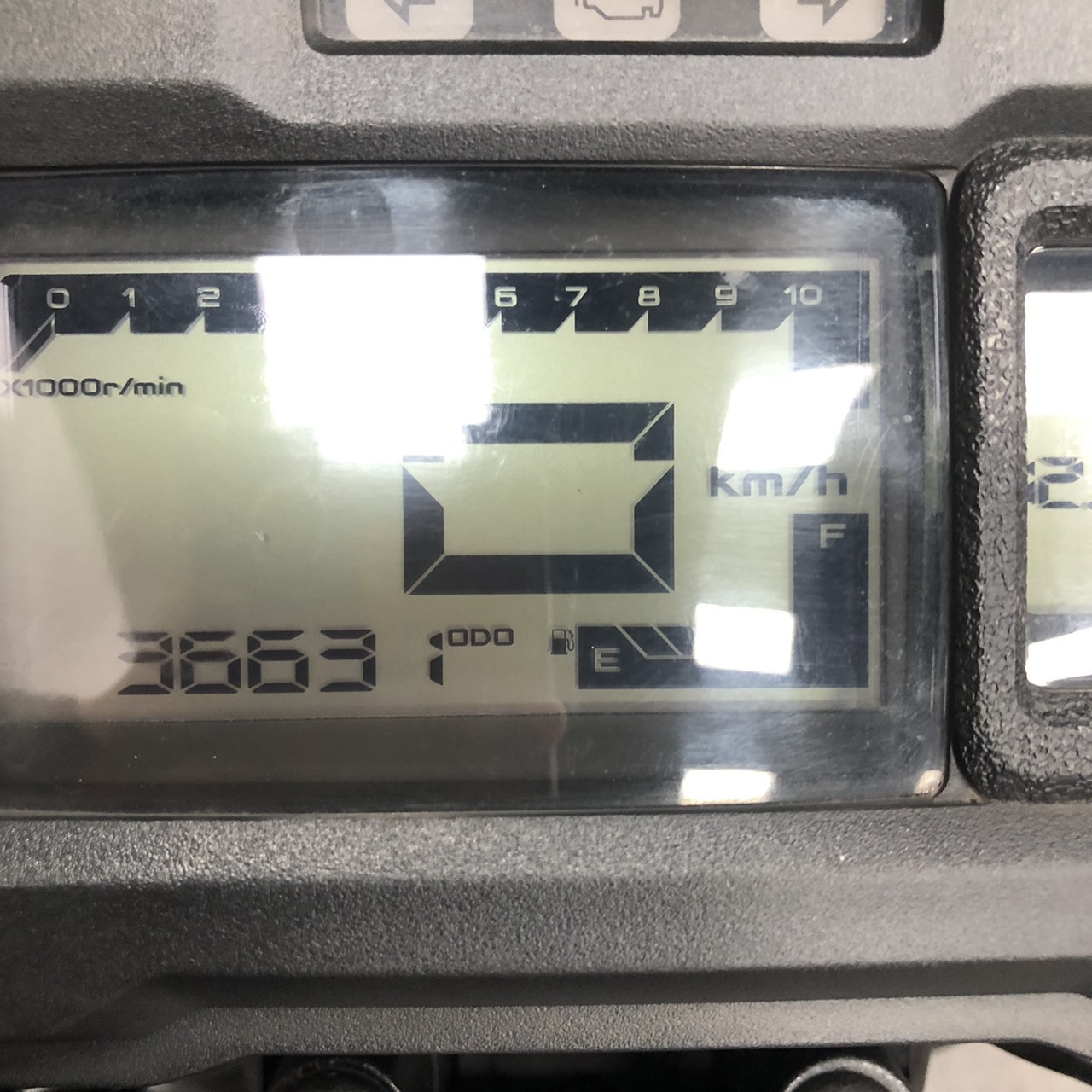S__261349385_0