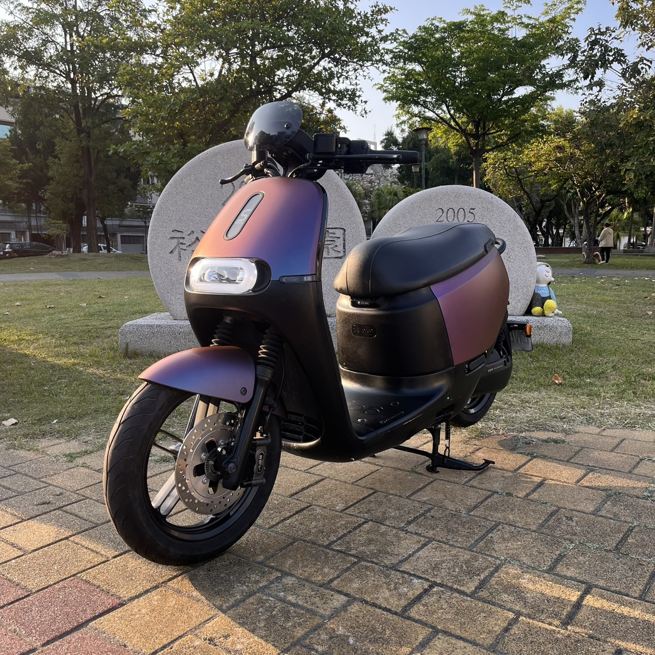 S__38477843_0