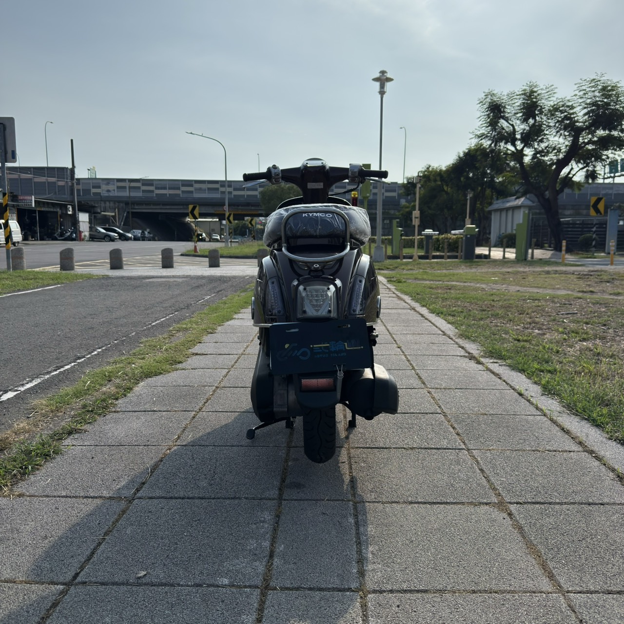S__16449544_0