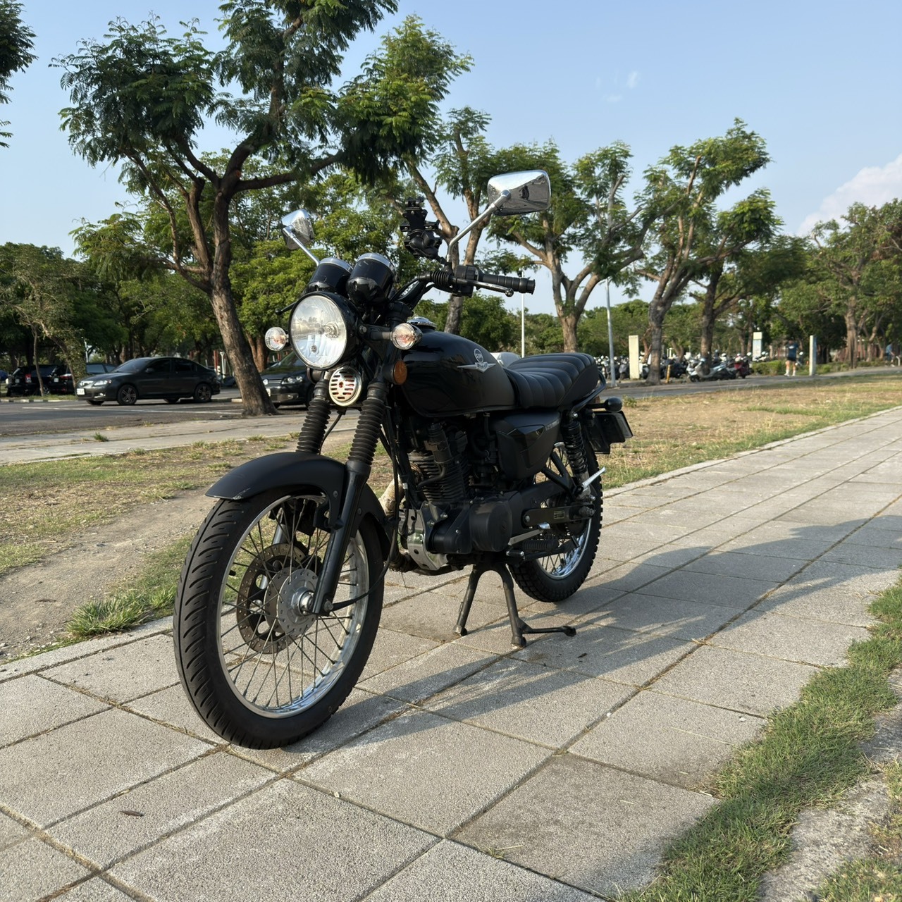 S__16474117_0