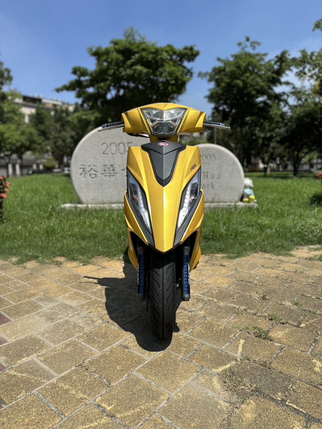 S__132038690_0