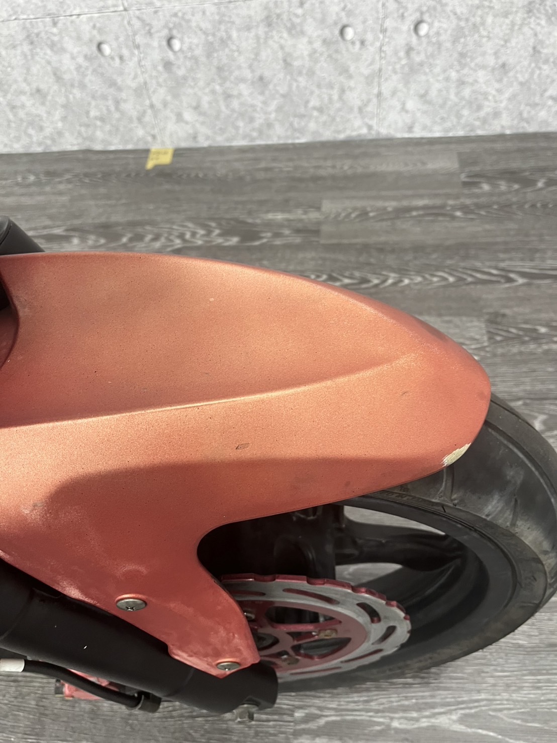 S__43024445_0
