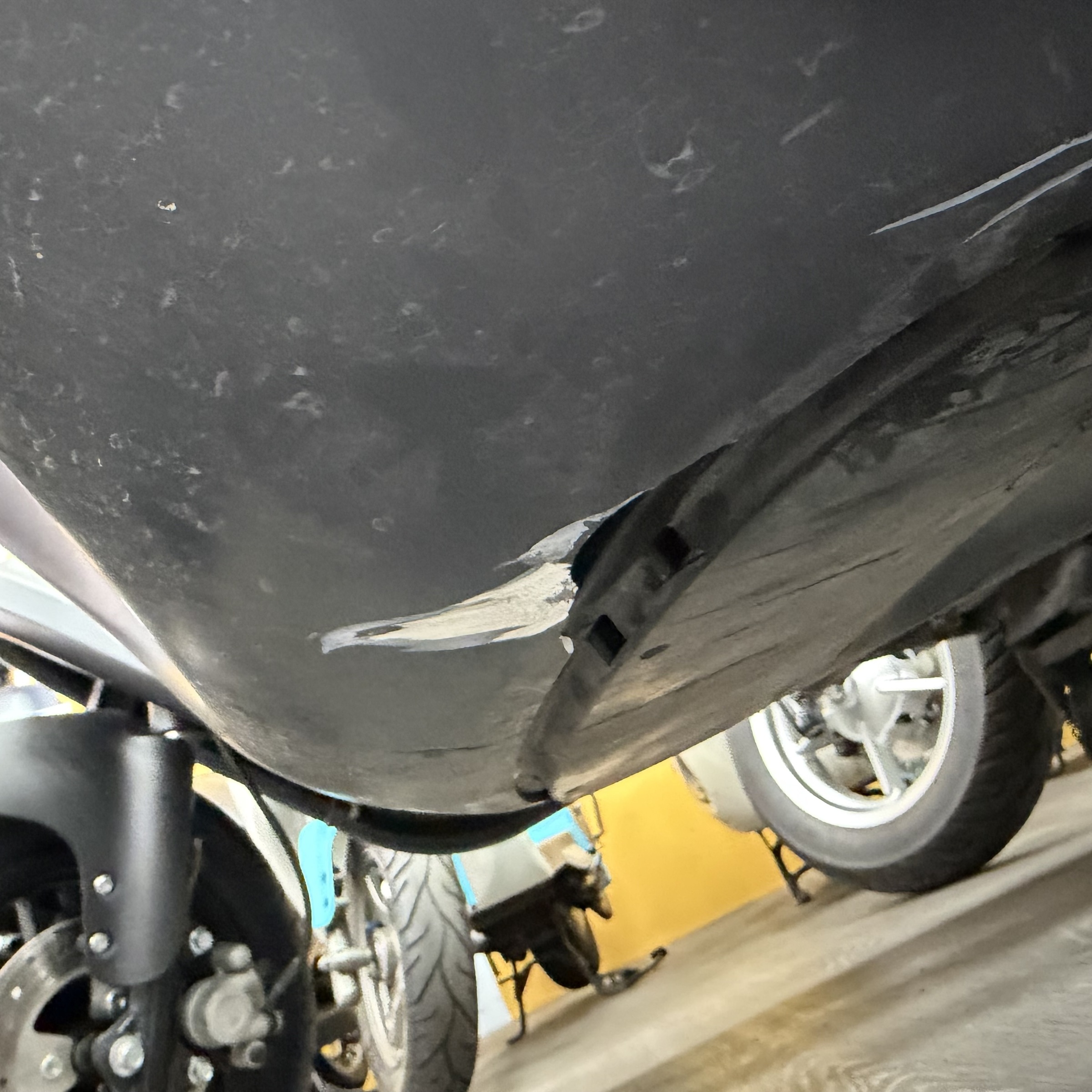 image_8C772DE1-7698-4715-BA8D-DECFC4A041CF_1766730283