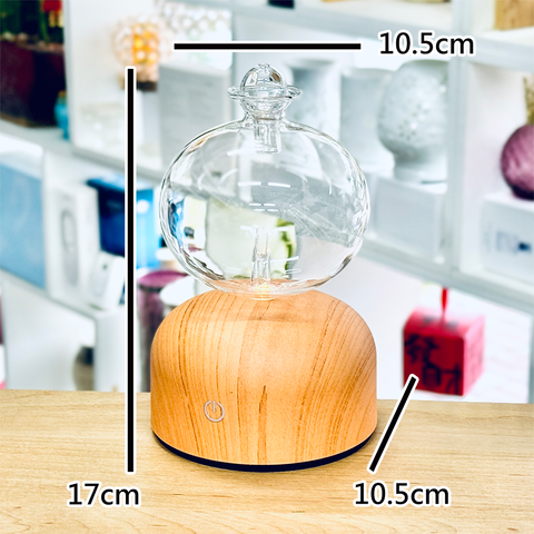 淺木球球
