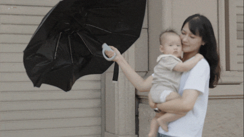 asset_1035909_image_big