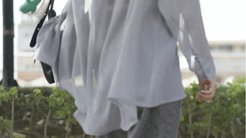 asset_1035700_image_big