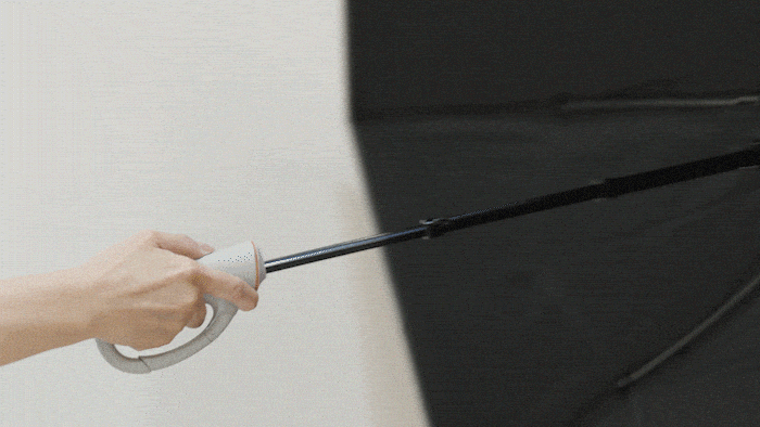 asset_1035900_image_big