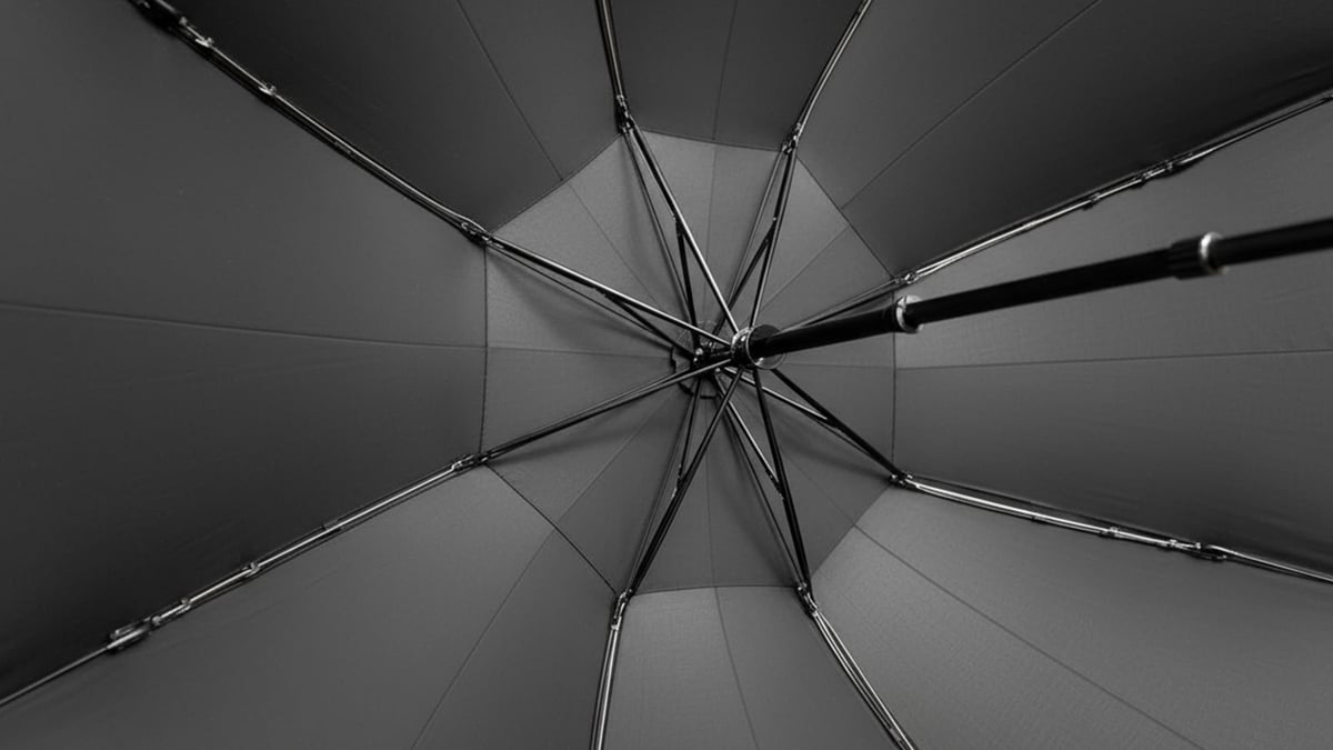 asset_1032521_image_big