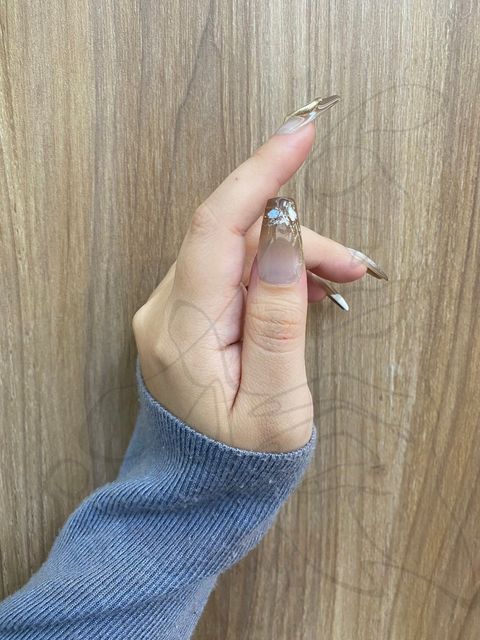 12462623