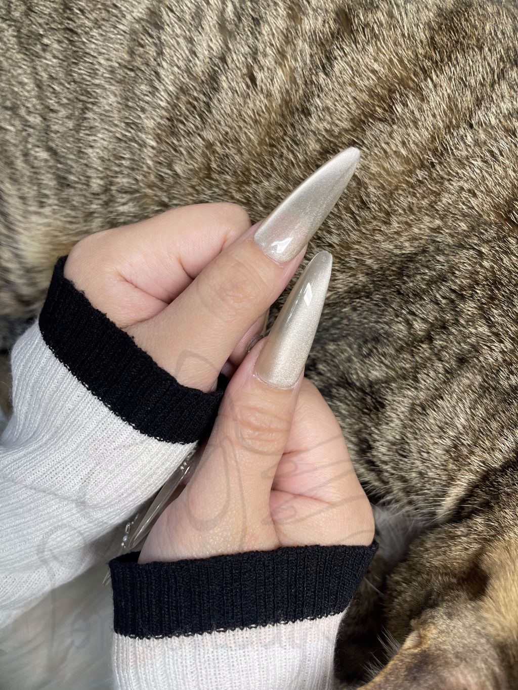 20250103_090651104_iOS