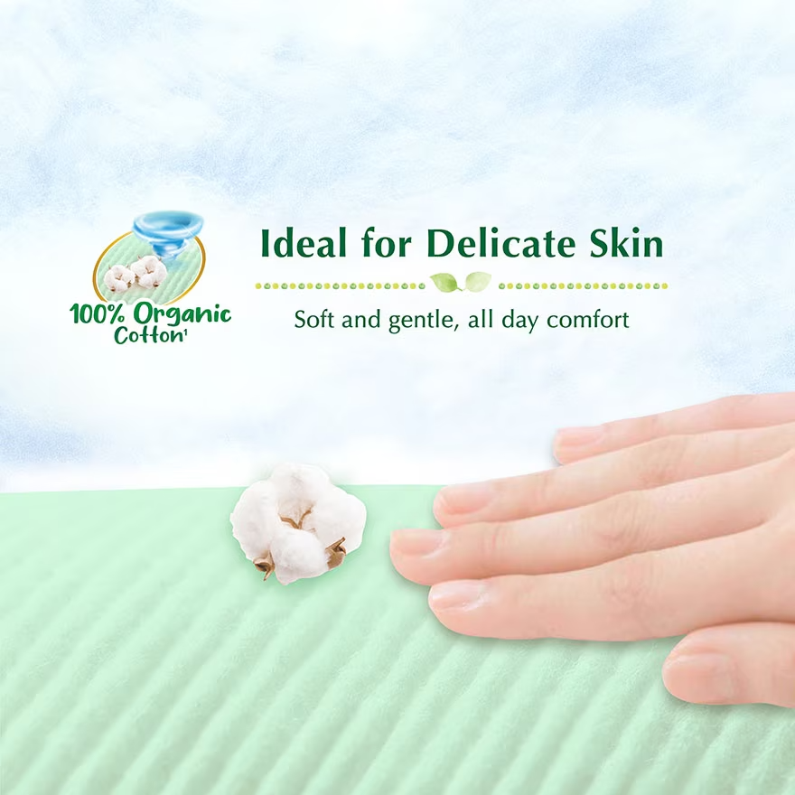 WTCMY-1024564-alt2-zoom