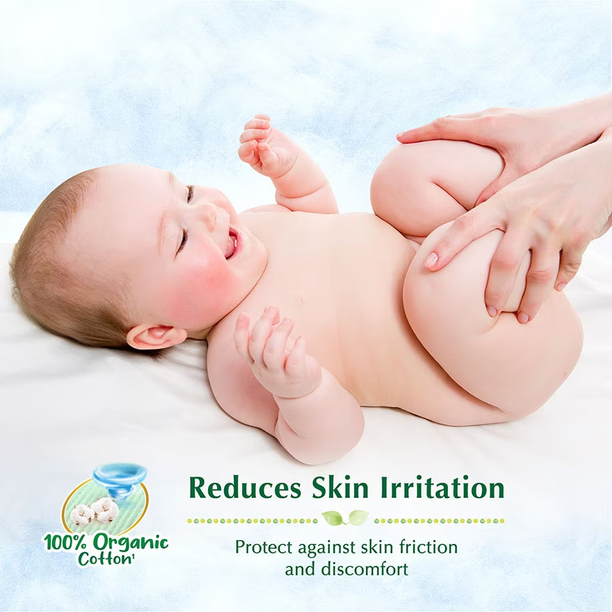 WTCMY-1024564-alt3-zoom