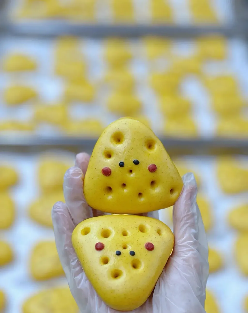 image_F71658DE-9C6C-4D88-9365-18BA3B81F7CF_1772715855