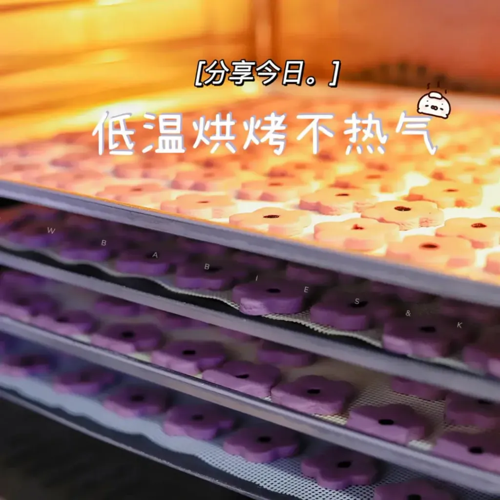 image_2E462DB6-BAB4-404A-B51B-AEBA1E6761D6_1772716946