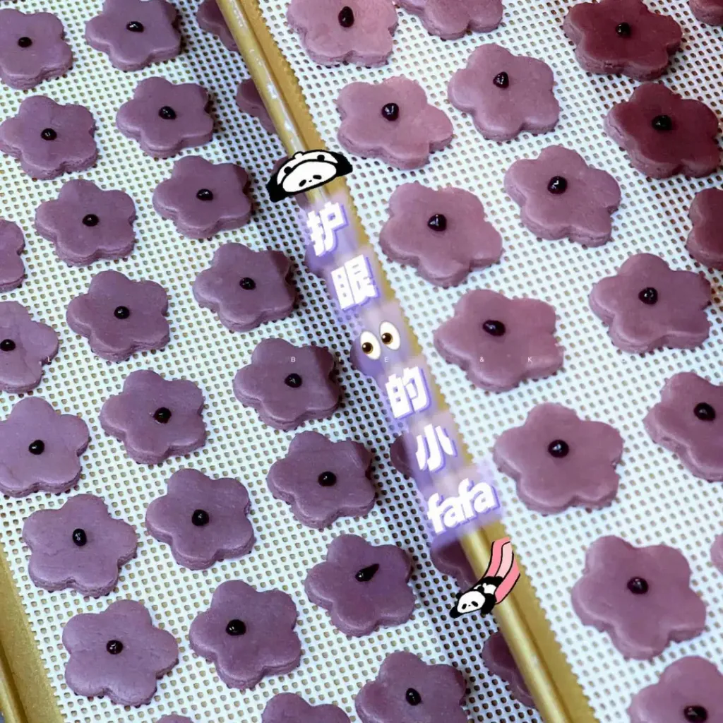 image_E6A9367C-ABEA-4856-B4F8-727DECE36783_1772716946