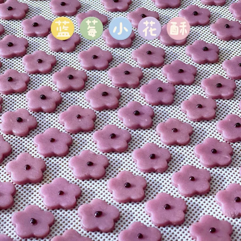 image_119961EB-C936-4512-8884-69DA18583C5F_1772716946