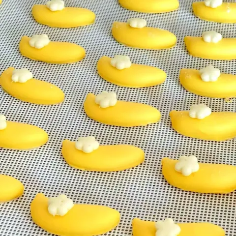 image_5033E2D4-EBAD-4DDA-B7BA-02127C0A593A_1772854028