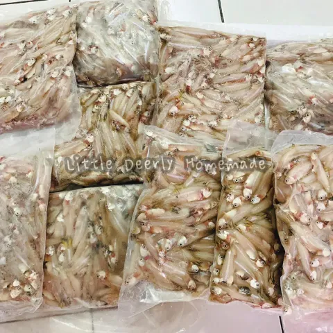 image_FDDE9813-0EFF-49C2-A0B6-42FCC2594431_1772854829