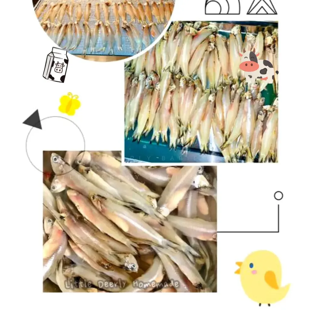 image_139E2476-7EBC-4F45-89DC-16EC838DA0B0_1772854829