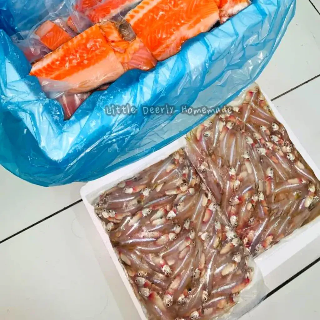 image_9B725F7A-D3AF-49DB-980C-D93FC4D366BE_1772854829