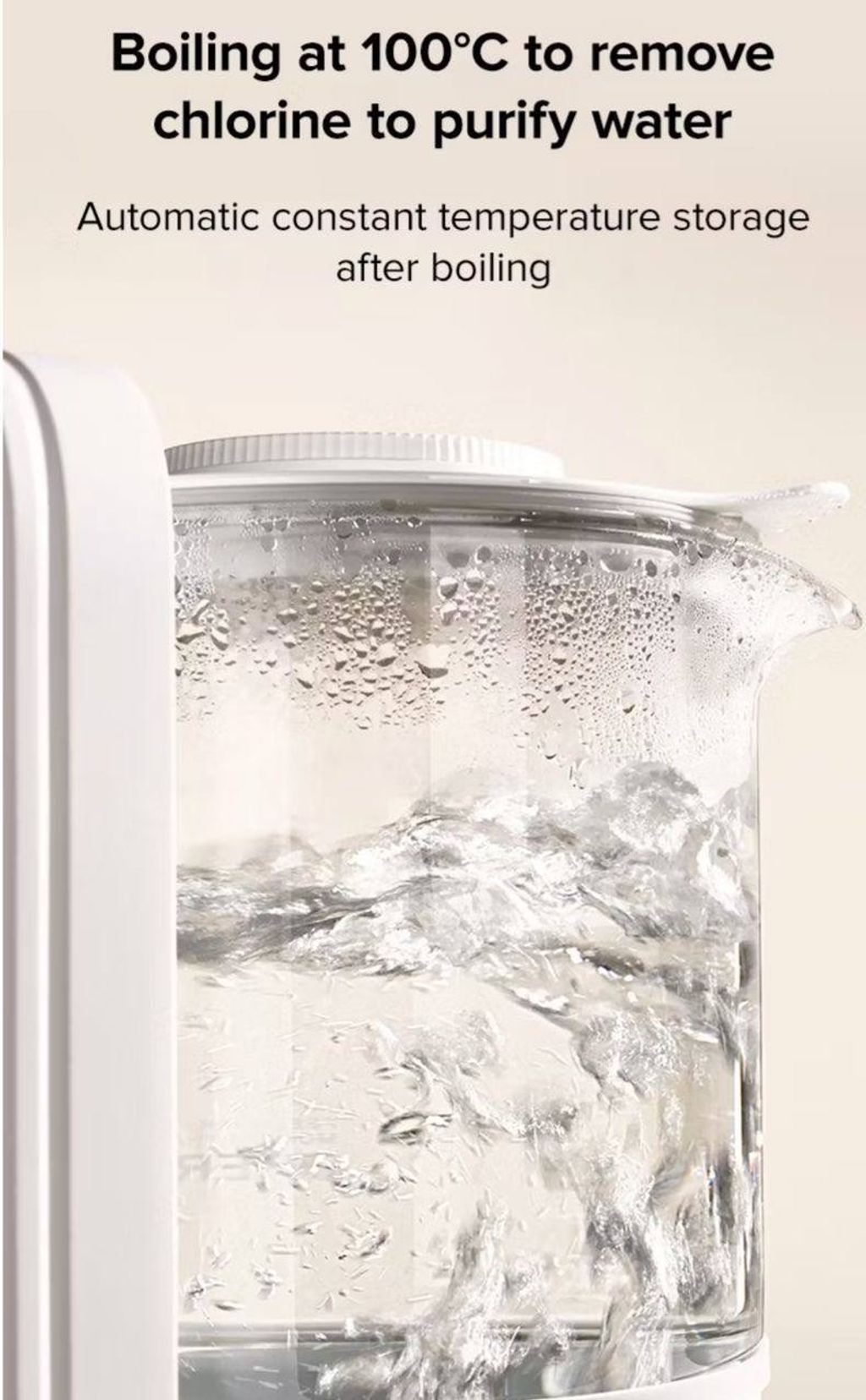 image_E8E9AEFF-447D-429B-A121-471429A905C1_1774934569