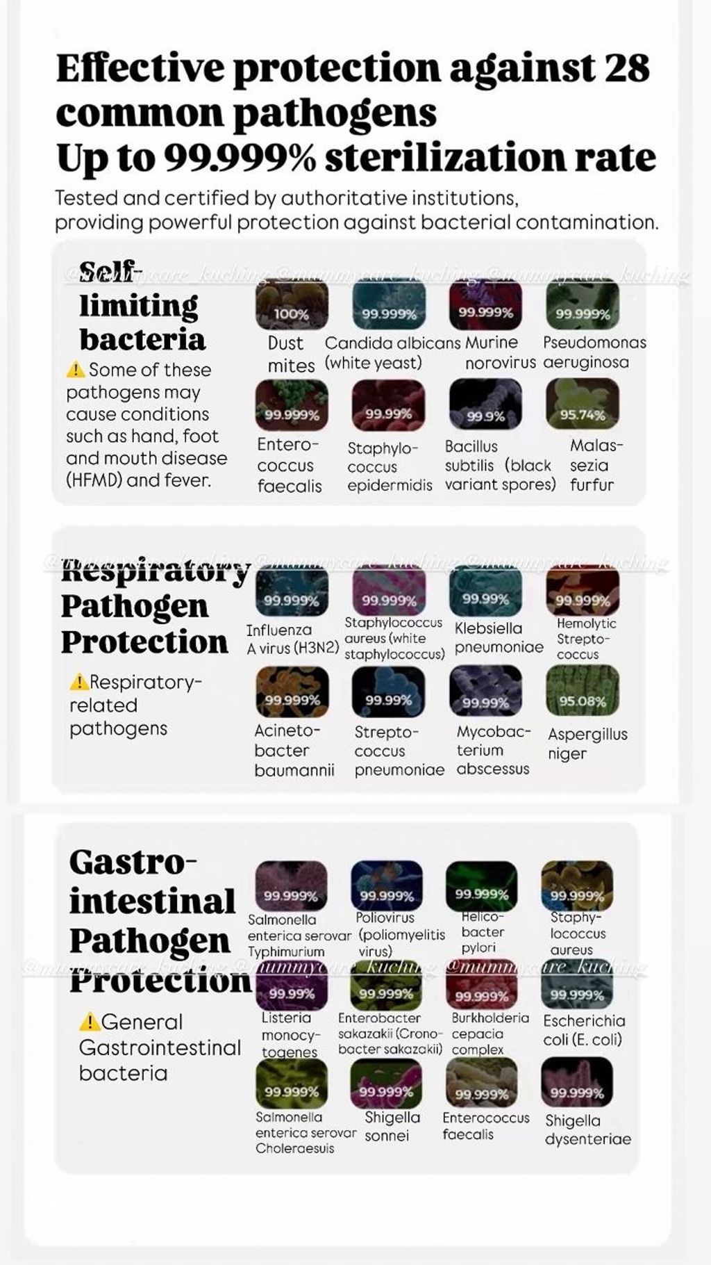 image_0F26522D-F47D-4D66-9FDF-A803C09BB421_1774954226