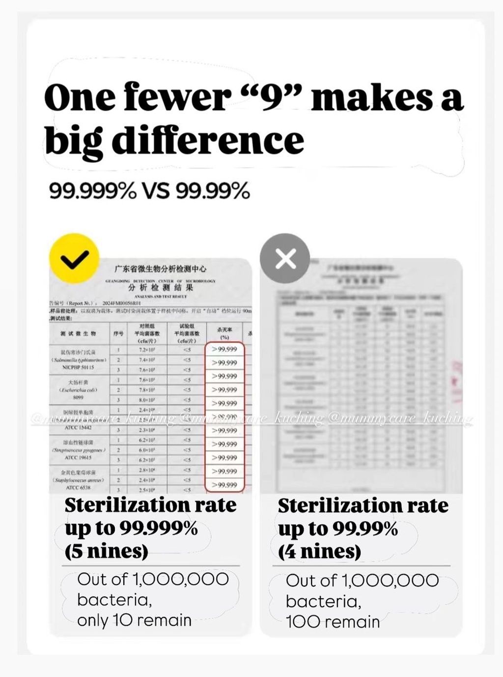 image_D79B365A-DA8E-431A-B2E2-26AC6C554E43_1774954227