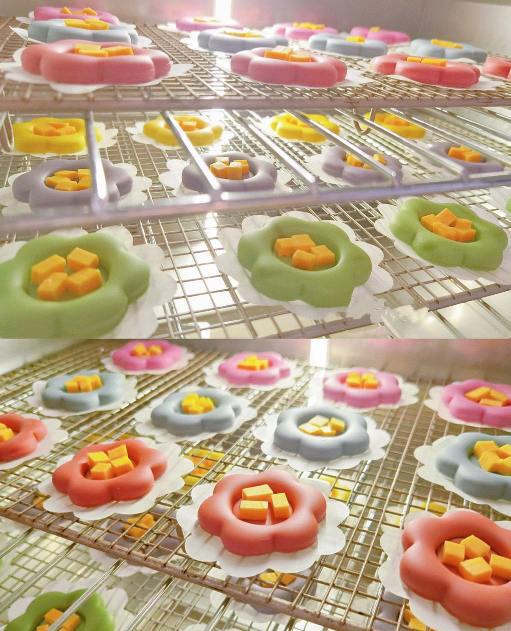 image_B82CFE7D-667D-40DE-B964-3482F08D0467_1775022252