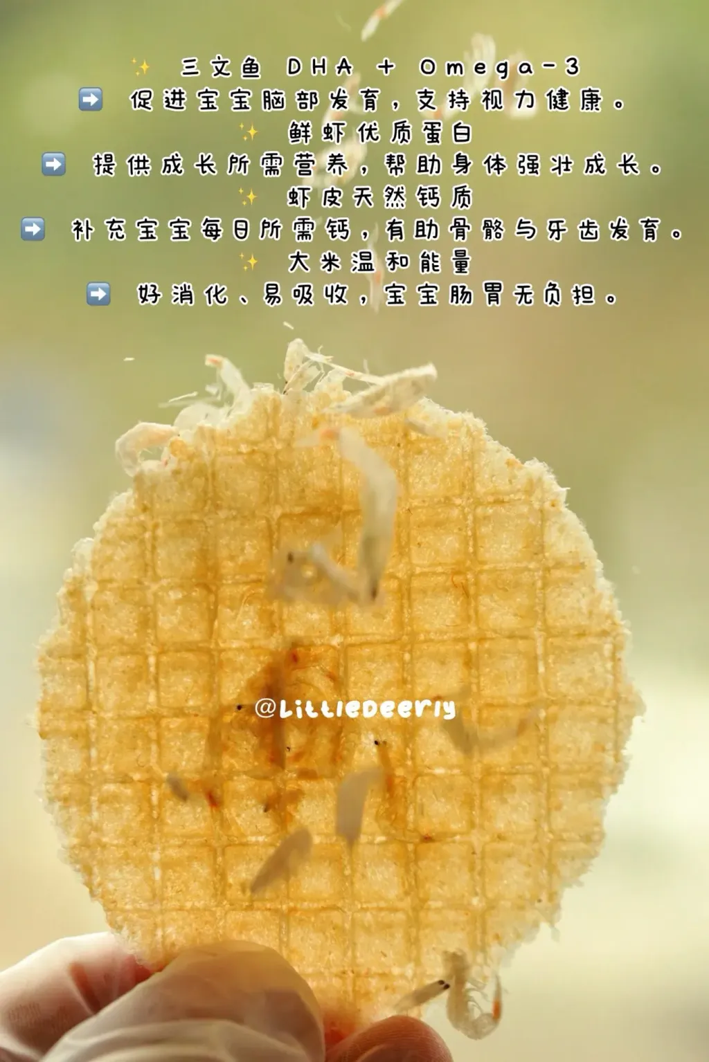 539955582_1284920670310420_4340940108064244338_n.jpg