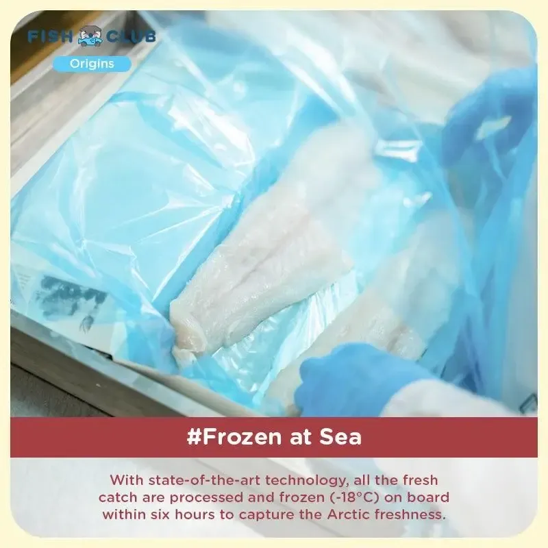 fish-club-origins-norwegian-atlantic-cod-baby-cut-468648.jpg