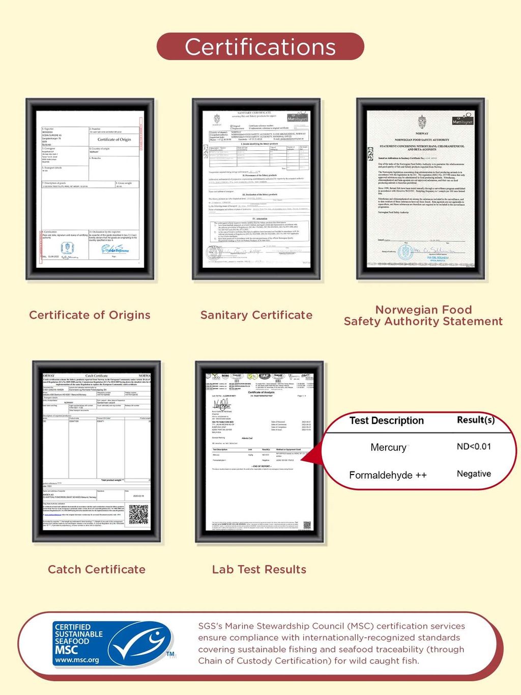 certification3.0.webp