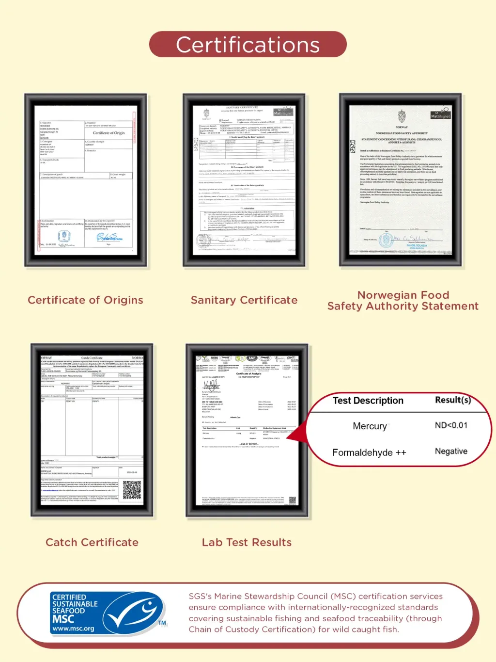 certification3.0.jpg