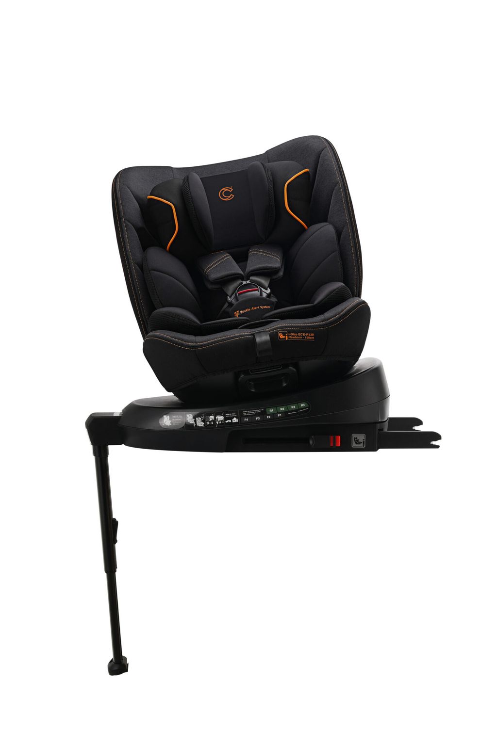 DSC00077-copy-scaled