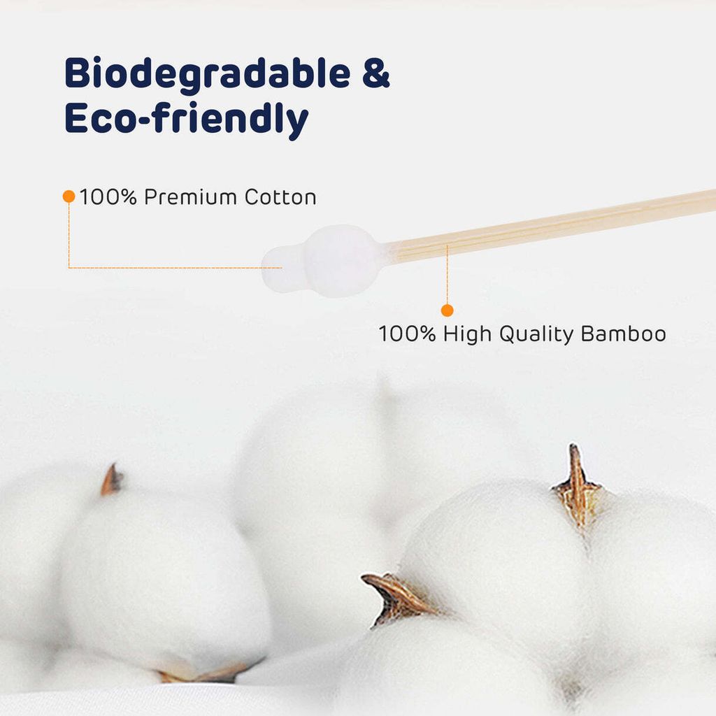 02_5ea49480-52ab-4a80-824b-3884f6442274