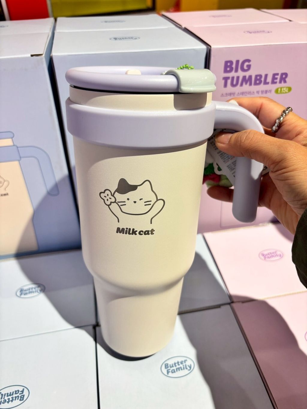 LINE_ALBUM_韓國2603 F_260308_10