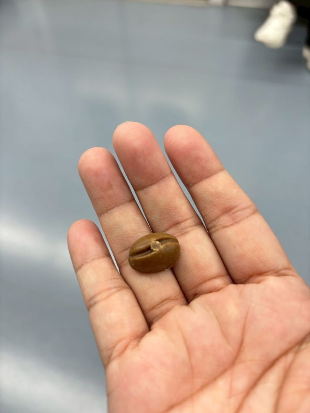 LINE_ALBUM_F 韓國實拍2606_260601_22