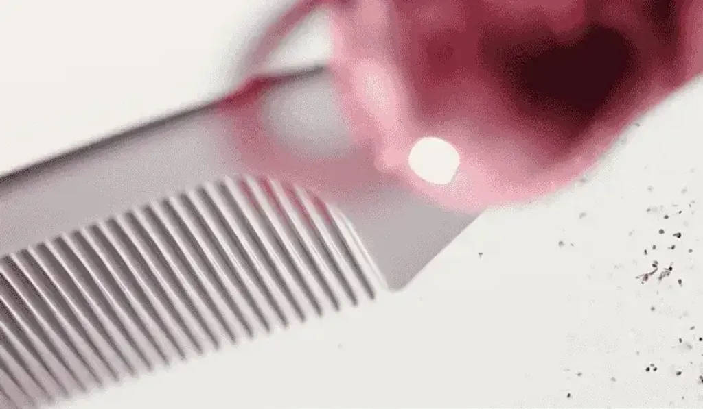coating